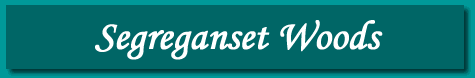 Segreganset Woods
